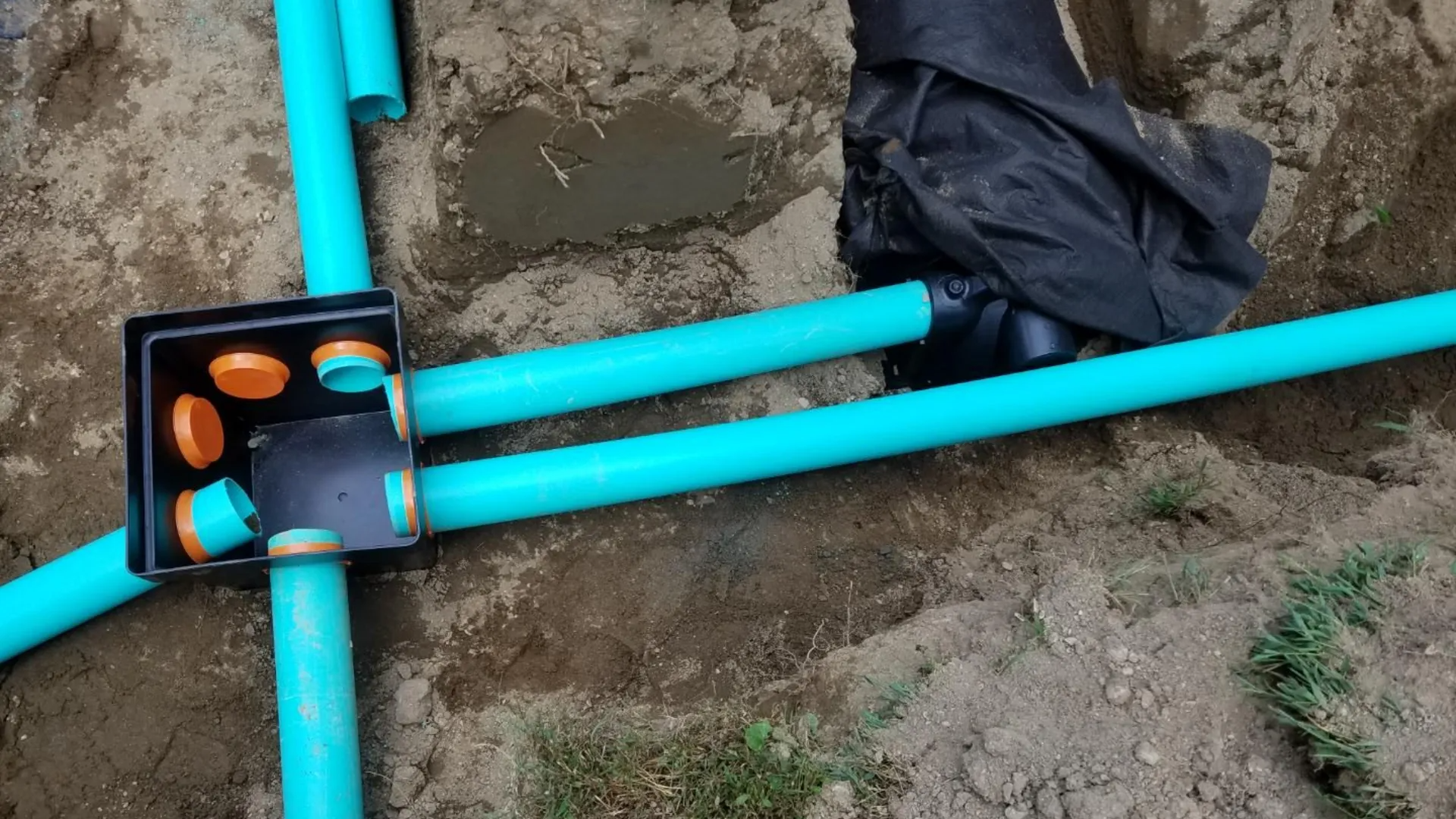 Septic distribution box and lines exposed for inspection